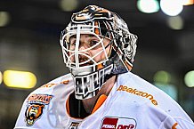 Eishockey, Herren, DEL, Saison 2020-2021, Straubing Tigers - Grizzlys Wolfsburg, 16.04.2021