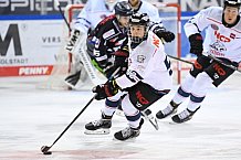 Straubing Tigers - Nürnberg Ice Tigers