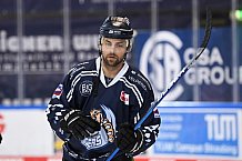 Straubing Tigers - Augsburger Panther