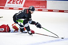 Eishockey, DEL, Penny-DEL, DEL2, Vorbereitung, 01.09.2021