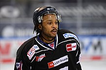 Straubing Tigers - ERC Ingolstadt