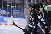 Straubing Tigers - Nürnberg Ice Tigers