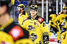 Eishockey, Herren, DEL, Saison 2020-2021, Straubing Tigers - Krefeld Pinguine, 07.04.2021