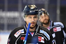 Straubing Tigers - ERC Ingolstadt