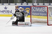 Eishockey, Herren, Oberliga Süd, Saison 2020 2021, Passau Black Hawks - Deggendorfer SC, 29.01.2021