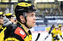 Eishockey, Herren, DEL, Saison 2020-2021, Straubing Tigers - Krefeld Pinguine, 07.04.2021