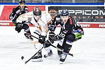 Eishockey, Herren, DEL, Saison 2020-2021, Straubing Tigers - Grizzlys Wolfsburg, 16.04.2021