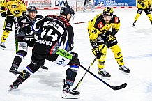 Eishockey, Herren, DEL, Saison 2020-2021, Straubing Tigers - Krefeld Pinguine, 07.04.2021