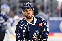 Eishockey, Herren, DEL, Saison 2020-2021, Playoff Viertelfinale 1, Adler Mannheim - Straubing Tigers, 20.04.2021