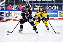 Eishockey, Herren, DEL, Saison 2020-2021, Straubing Tigers - Krefeld Pinguine, 07.04.2021