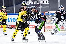 Eishockey, Herren, DEL, Saison 2020-2021, Straubing Tigers - Krefeld Pinguine, 07.04.2021