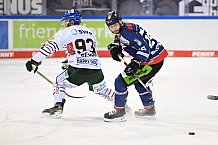 Straubing Tigers - Augsburger Panther