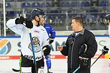 Straubing Tigers - Eistraining 30.12.2020