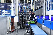 Eishockey, Herren, DEL, Saison 2020-2021, Straubing Tigers - Fishtown Pinguins Bremerhaven, 21.03.2021