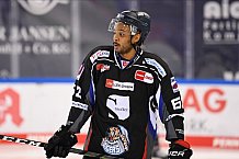 Straubing Tigers - ERC Ingolstadt