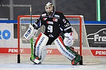 Straubing Tigers - ERC Ingolstadt