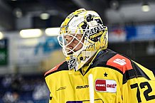 Eishockey, Herren, DEL, Saison 2020-2021, Straubing Tigers - Krefeld Pinguine, 07.04.2021