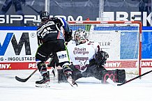 Eishockey, Herren, DEL, Saison 2020-2021, Straubing Tigers - Kölner Haie, 11.04.2021