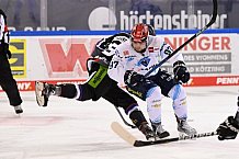 Straubing Tigers - ERC Ingolstadt