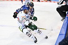 Straubing Tigers - Augsburger Panther