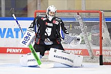 Straubing Tigers - Eistraining 28.11.2020