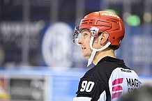 Straubing Tigers - Nürnberg Ice Tigers