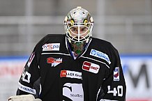 Straubing Tigers - Eistraining 28.11.2020