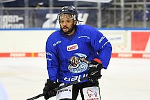 Straubing Tigers - Eistraining 30.12.2020