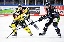 Eishockey, Herren, DEL, Saison 2020-2021, Straubing Tigers - Krefeld Pinguine, 07.04.2021