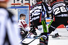 Eishockey, Herren, DEL, Saison 2020-2021, Straubing Tigers - Kölner Haie, 11.04.2021