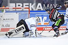 Straubing Tigers - Nürnberg Ice Tigers