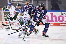 Straubing Tigers - Augsburger Panther