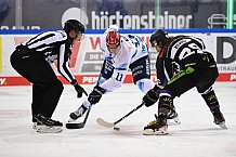 Straubing Tigers - ERC Ingolstadt