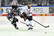 Straubing Tigers - Nürnberg Ice Tigers