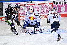 Straubing Tigers - EHC Red Bull München