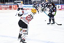 Eishockey, Herren, DEL, Saison 2020-2021, Straubing Tigers - Fishtown Pinguins Bremerhaven, 21.03.2021