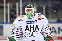 Straubing Tigers - Augsburger Panther