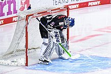 Eishockey, Herren, DEL, Saison 2020-2021, Playoff Viertelfinale Spiel 2, Straubing Tigers - Adler Mannheim, 22.04.2021