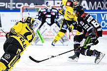 Eishockey, Herren, DEL, Saison 2020-2021, Straubing Tigers - Krefeld Pinguine, 07.04.2021