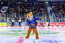 Eishockey, Men, DEL, Penny DEL, Hauptrunde Saison 2024-25, 8. Spieltag, Straubing Tigers - Adler Mannheim, 01.01.2021