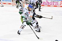 Eishockey, Herren, DEL, Saison 2020-2021, Straubing Tigers - Augsburger Panther, 03.03.2021