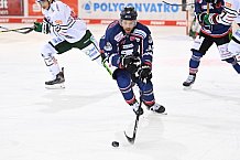 Straubing Tigers - Augsburger Panther