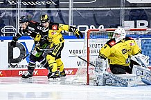 Eishockey, Herren, DEL, Saison 2020-2021, Straubing Tigers - Krefeld Pinguine, 07.04.2021