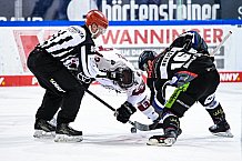 Eishockey, Herren, DEL, Saison 2020-2021, Straubing Tigers - Kölner Haie, 11.04.2021