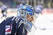 Straubing Tigers - Nürnberg Ice Tigers