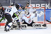 Straubing Tigers - Nürnberg Ice Tigers