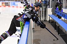 Straubing Tigers - ERC Ingolstadt