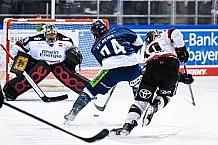 Eishockey, Herren, DEL, Saison 2021-2022, 07.11.2021