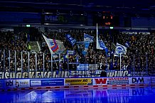 Eishockey, Men, DEL, Penny DEL, Hauptrunde Saison 2024-25, 8. Spieltag, Straubing Tigers - Adler Mannheim, 01.01.2021