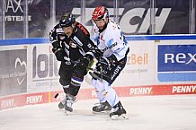 Straubing Tigers - ERC Ingolstadt